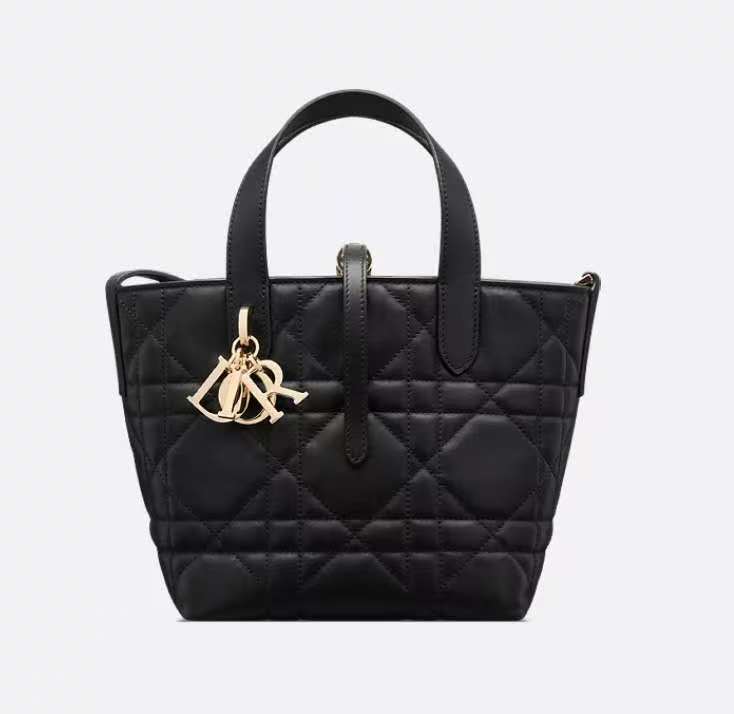 Dio*r Small Dio! Toujours vertical handbag