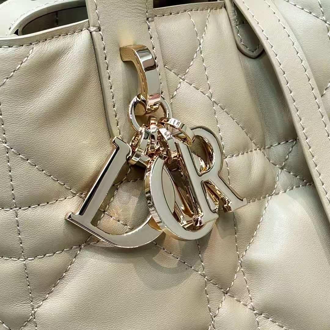 Dio*r Small Dio! Toujours vertical handbag