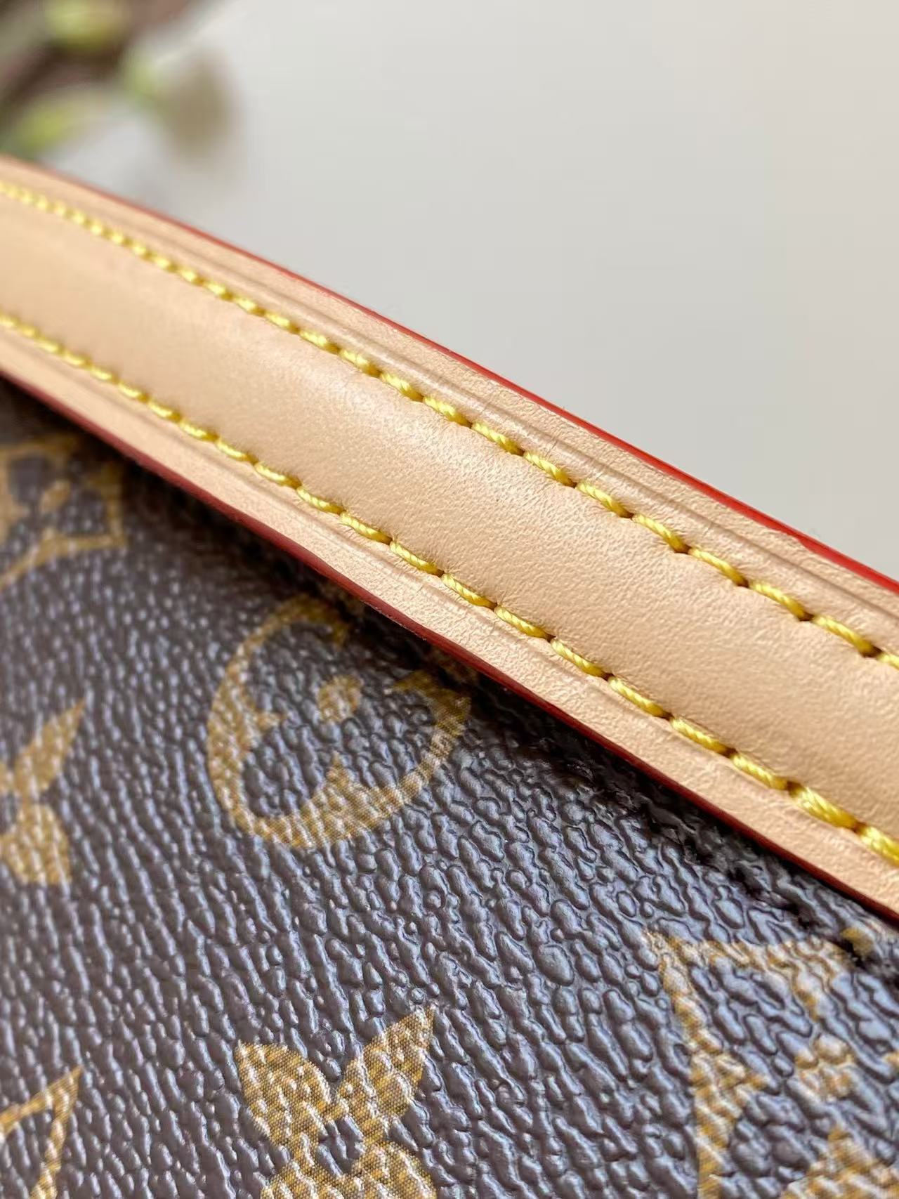 Multipass handbag