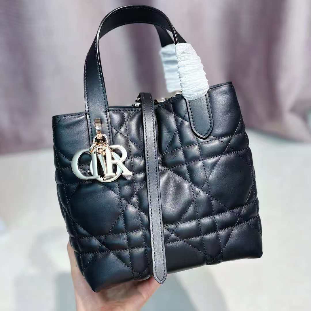 Dio*r Small Dio! Toujours vertical handbag