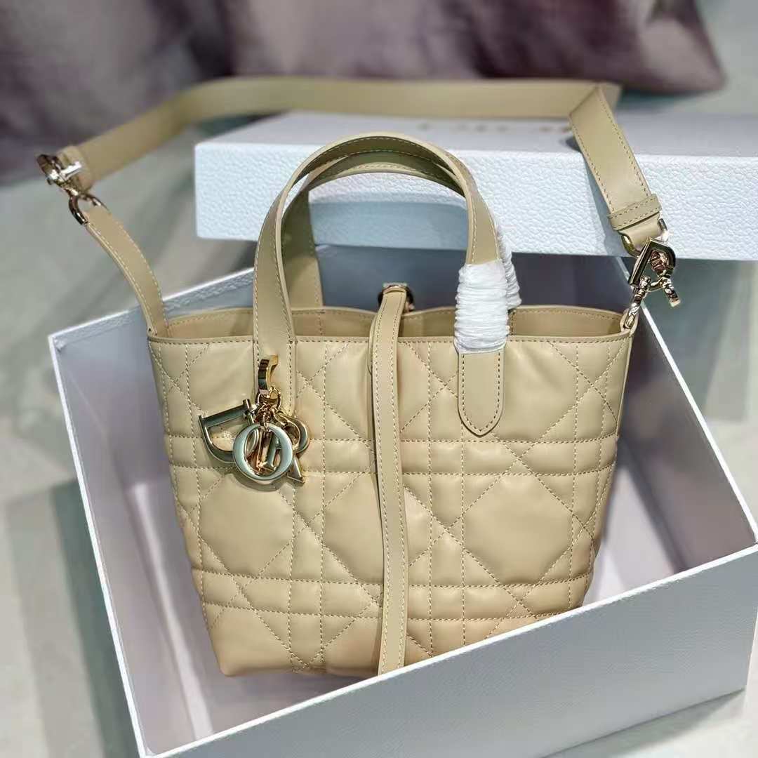 Dio*r Small Dio! Toujours vertical handbag