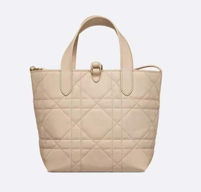 Dio*r Small Dio! Toujours vertical handbag
