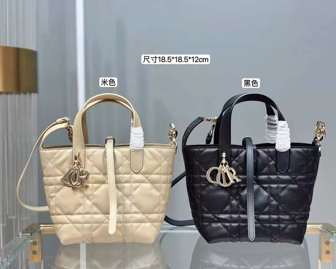 Dio*r Small Dio! Toujours vertical handbag
